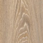 Evergreen Oak 22937